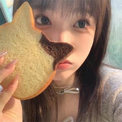 野狗们
